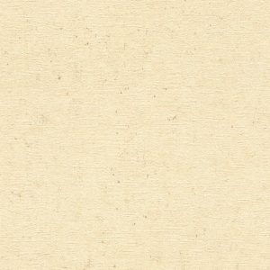 Papel Vinílico Empapelar Importado Rasch Concrete 5208
