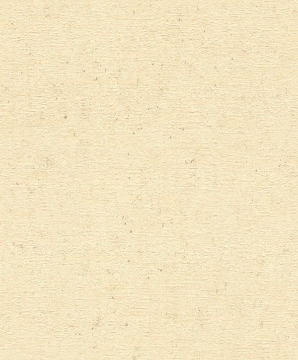 Papel Vinílico Empapelar Importado Rasch Concrete 5208