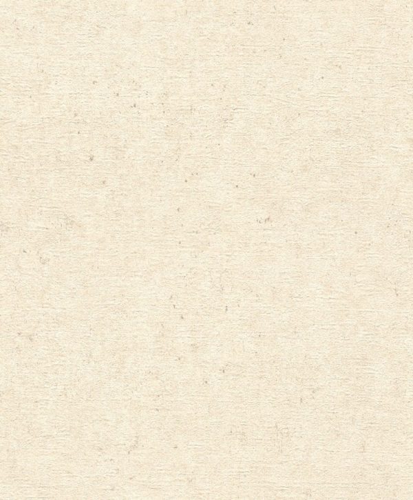 Papel Vinílico Empapelar Importado Rasch Concrete 5208 - Imagen 5