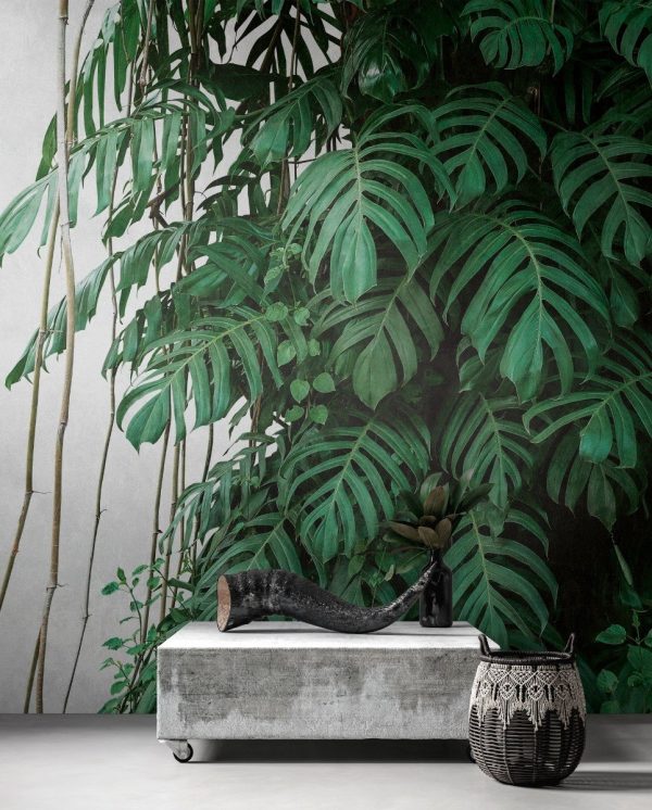Fotomural Vinilico Importado Lavable The Wall 371 X 280 Cm - Imagen 53