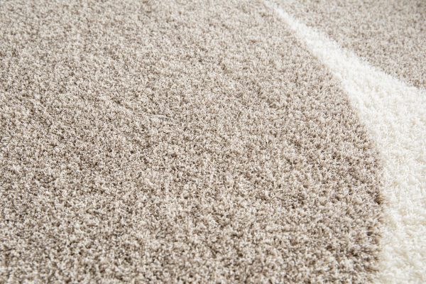 Alfombra Moderna Lily Carpeta 1,60 Mts X 2,30 Mts Pelo Largo - Imagen 4