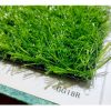 Cesped Sintetico 20mm Gramagreen Gg18r X M2 Rambla - Imagen 4