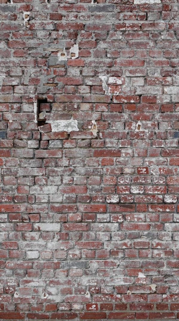 Fotomural Vinilico Importado Lavable The Wall 159 X 280 Cm - Imagen 15