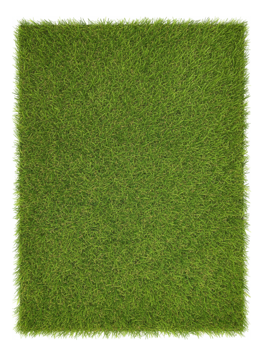 Carpeta Césped Sintético 35mm Gramagreen Alfombra 200x150 Cm