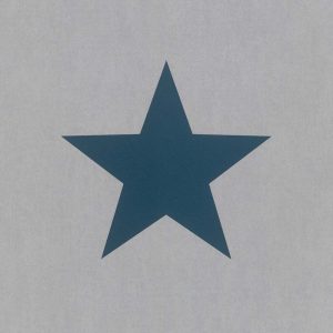 Papel Importado Rasch Kids & Teens 248104 Estrella Azul